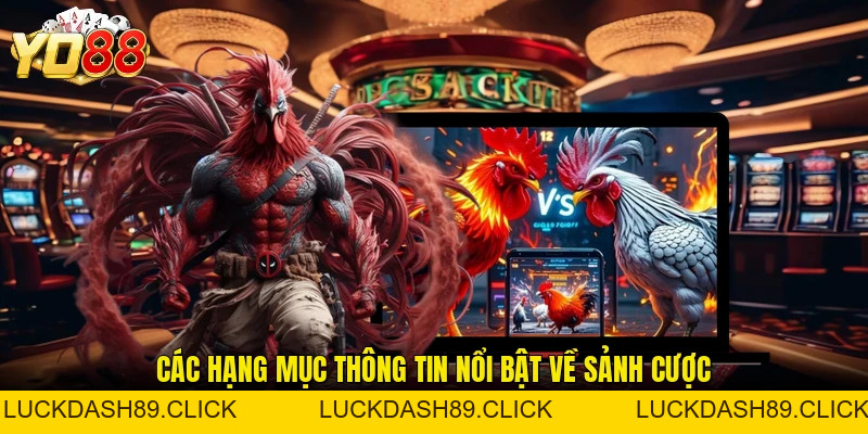 Đá Gà YO88 - Điểm Đến Giải Trí Trực Tuyến Thu Hút Hiện Nay - Luckdash89