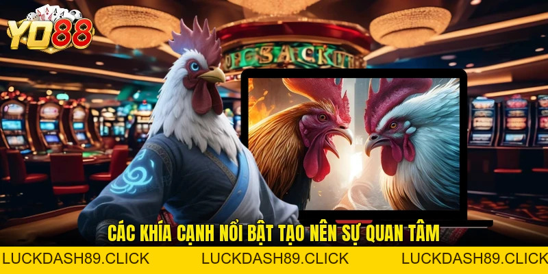 Đá Gà Cựa Dao - Hình Thức Tranh Tài Kịch Tính Hấp Dẫn - Luckdash89