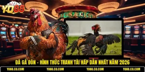 YO88 - Cổng Game Bài YO88 CLICK Uy Tín Top 1 Toàn Cầu 2026 - Luckdash89