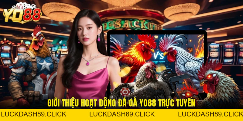Đá Gà YO88 - Điểm Đến Giải Trí Trực Tuyến Thu Hút Hiện Nay - Luckdash89