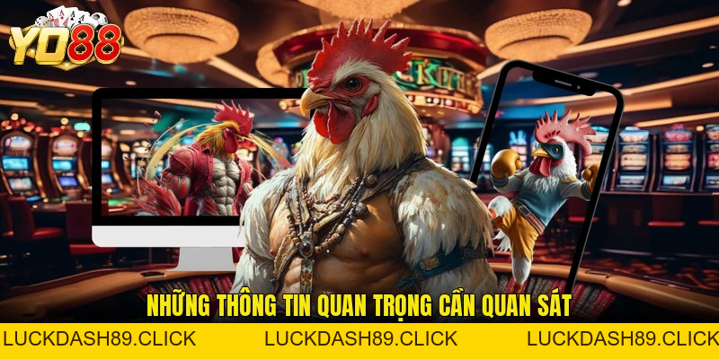 Cá Độ Đá Gà Ăn Tiền - Hình Thức Giải Trí Được Quan Tâm - Luckdash89
