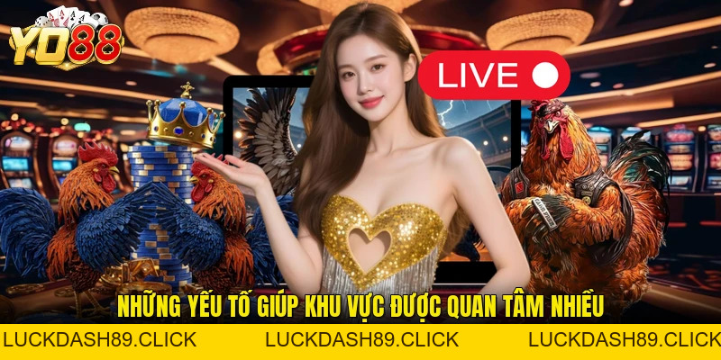 Sảnh Gà Thomo YO88 - Điểm Đến Theo Dõi Đá Gà Hấp Dẫn - Luckdash89 Sảnh Gà Thomo YO88 - Điểm Đến Theo Dõi Đá Gà Hấp Dẫn - Luckdash89