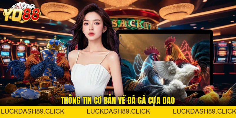 Đá Gà Cựa Dao - Hình Thức Tranh Tài Kịch Tính Hấp Dẫn - Luckdash89
