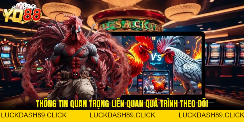 Đá Gà Cựa Dao - Hình Thức Tranh Tài Kịch Tính Hấp Dẫn - Luckdash89