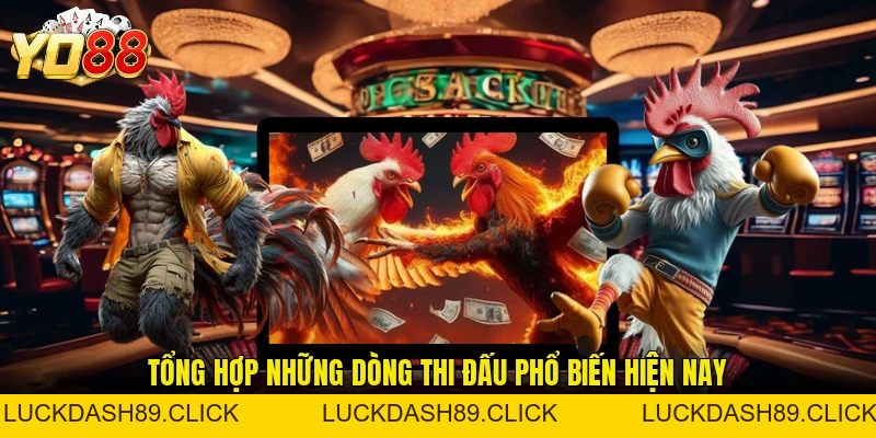 Đá Gà YO88 - Điểm Đến Giải Trí Trực Tuyến Thu Hút Hiện Nay - Luckdash89